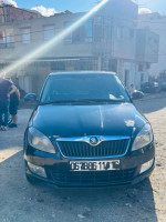 voitures-skoda-fabia-2014-fresh-cheraga-alger-algerie