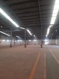 hangar-location-oran-es-senia-algerie