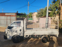 camion-kia-motors-k2700-2013-chlef-algerie