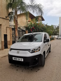 utilitaire-fiat-doblo-profsonl-2024-profsonal-guelma-algerie