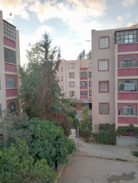 appartement-vente-f3-saida-algerie