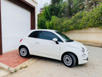 voitures-fiat-500-2024-delcevita-oran-algerie