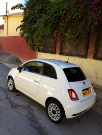 voitures-fiat-500-2024-constantine-algerie