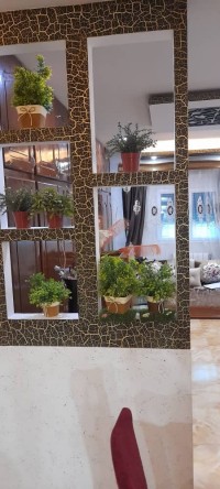 apartment-sell-f3-sidi-bel-abbes-algeria