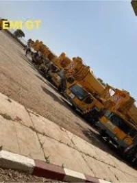 Location Grue mobile et chenille 