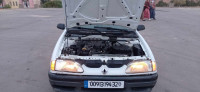 voitures-renault-19-1994-sougueur-tiaret-algerie