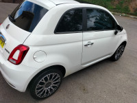 voitures-fiat-500-2024-dv-annaba-algerie