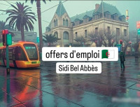 commercial-marketing-offre-demploi-sidi-bel-abbes-algerie