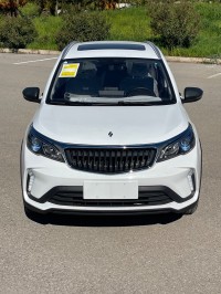 cars-livan-x3-pro-2026-automatique-toit-setif-algeria