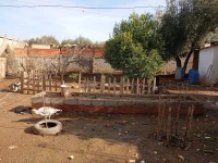 Vente Niveau De Villa F6 Chlef Chlef