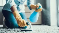 Service femme ménage à domicile - Société de nettoyage - Entreprise de jardinage ponçage et lustrage