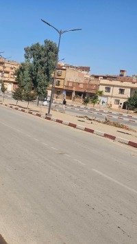 محل-كراء-سيدي-بلعباس-الجزائر