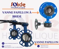 VANNE À PAPILLON ET VANNE PAPILLON À BRIDE