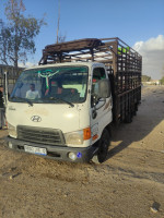 camion-hyundai-hd-65-2010-bir-el-ater-tebessa-algerie