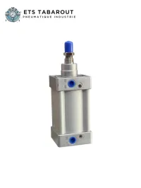 Fabrication Vérins pneumatiques sur mesure diamètre 200mm, 160mm, 125mm