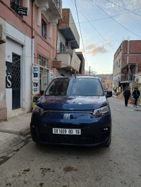 utilitaire-fiat-doblo-2024-itali-professionnel-saida-algerie