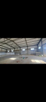 hangar-location-setif-mezloug-algerie