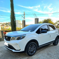 voitures-geely-gx3-2024-pro-drive-annaba-algerie