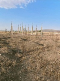 terrain-vente-batna-timgad-algerie