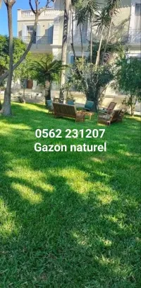 Gazon naturel et plante jardinage 