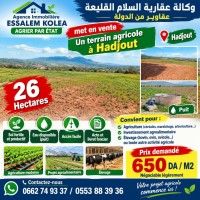farmland-sell-tipaza-hadjout-algeria
