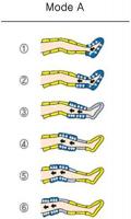 produits-paramedicaux-appareil-de-pressotherapie-jambes-et-bras-morning-life-cheraga-alger-algerie