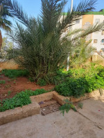 appartement-location-f2-alger-zeralda-algerie