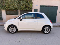 voitures-fiat-500-2024-club-saida-algerie