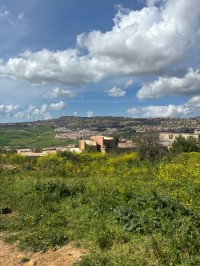 أرض-بيع-المدية-الجزائر