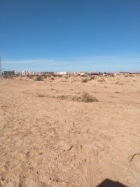 أرض-فلاحية-بيع-بسكرة-أوماش-الجزائر