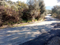 terrain-vente-bejaia-sidi-aich-algerie