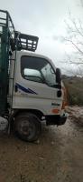 camion-هبونداي-hd65-2012-alger-centre-algerie