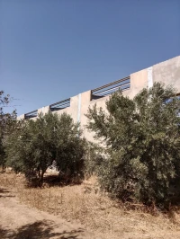 Location Hangar Tlemcen Hennaya