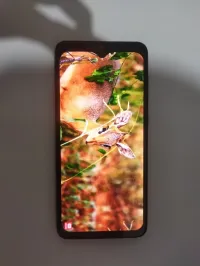 samsung A70