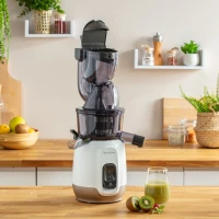 Moulinex EXTRACTEUR de jus MOULINEX ULTRA JUICE Silencieux 200W ZU600110