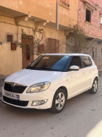 voitures-skoda-fabia-2014-fresh-djelfa-algerie