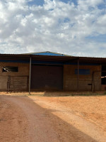 hangar-vente-chlef-labiod-medjadja-algerie