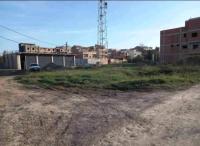 أرض-بيع-الجزائر-سيدي-موسى