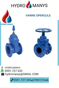 Vanne à opercule (Vanne à bride) DN40-DN600 - (PN16 à PN25