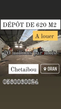 Location Hangar Oran Bir el djir