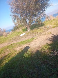 land-sell-tizi-ouzou-azeffoun-algeria
