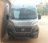 voitures-fiat-professional-ducato-2023-ain-defla-algerie