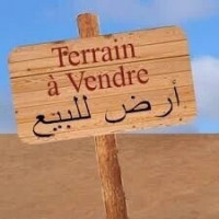 terrain-vente-blida-bouinan-algerie