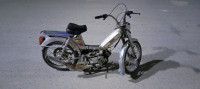 motos-et-scooters-peugeot-103-meskiana-oum-el-bouaghi-algerie