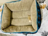 Panier pour chat