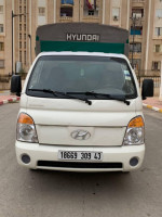 camion-hyundai-h100-2009-ferdjioua-mila-algerie