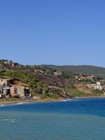 carcasse-vente-tipaza-larhat-algerie