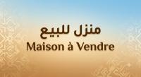 villa-vente-blida-beni-tamou-algerie