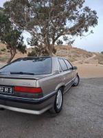 berline-renault-25-1991-fellaoucene-tlemcen-algerie