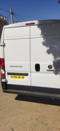 السيارات-النفعية-fiat-ducato-2023-2-موقف-سيارة-عين-الدفلى-الدفلة-الجزائر